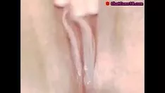 চালান সহজভাবে একটি ক্যাম স্ল্যাটার্ন কিটি-ক্যাট ব্লক