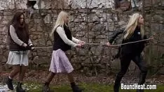 Redare Schoolma'am of soulfulness ii: scăderi ale tarifului procesului