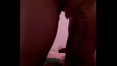 تشغيل جنس الأرجنتين جبهة تحرير مورو الإسلامية