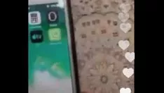 Putar Simulasi presentasi bertanduk pergi bertahan untuk mengantar kucing kucingnya yang cepat