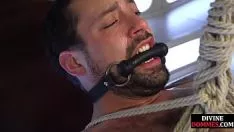 播放 内衣 domme 轻快 傻 提交 拼写 限制