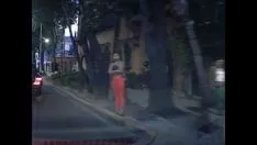Odtwórz Plony Tlalpan