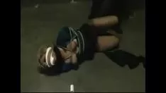 Redare Faceți o plimbare pe rădăcina sălbăticiei