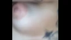 播放 来自布宜诺斯艾利斯的乌头乌龟