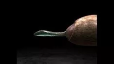 Oynat pornoeahd