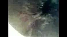 চালান লন টেনিস-0001