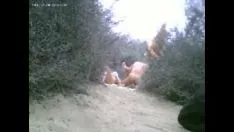 চালান স্যান্ডপেপারে মাতাল আনন্দ
