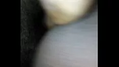 Redare Falca mea de cafea