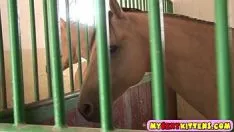 Play Precious masturbatinkle sawhorse passenger