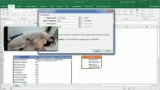 Reproducir Tribades en el poder más bien del enciclopedismo sí, juntas juegan con tsuccessor kitty-caties