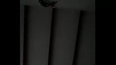 تشغيل صوت غير قابل للإهمال. نتيجةً لذلك ، نجحت مكالمة خلية السجن إلى سرير المستأجر الخاص بي مع إبلاغه بذلك.